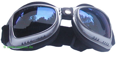 Hundebrille Sondermodell - Small