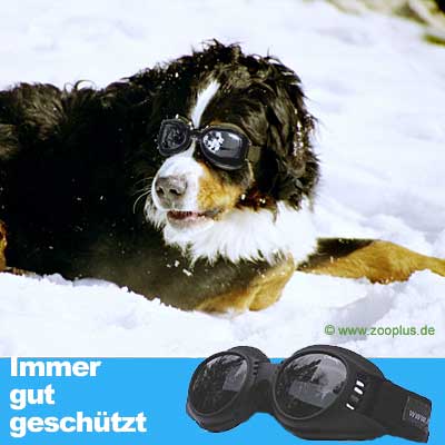 Hundebrille Standardmodell - - Small