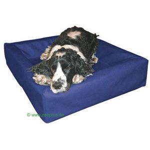 doginbed_ocean_1.jpg