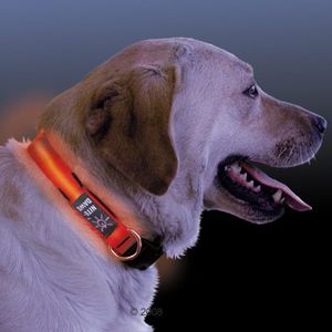 http://www.zooplus.de/shop/hunde/hundeleine_hundehalsband/reflektorhalsbaender_leinen/halsband_leine_geschirr/52176 Nite Ize LED Leuchthalsband