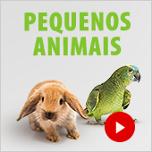 Zooutlet pequenos animais
