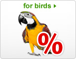 Special Offers: Bird Supplies & Accessories 