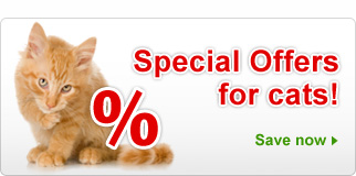 Special Offers: Cat Supplies & Accesssories 