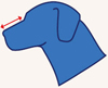 /></small></td> <td><small>Należy zmierzyć odległość od czubka kagańca do jego nasady pod oczami.</small></small></td> <td align=