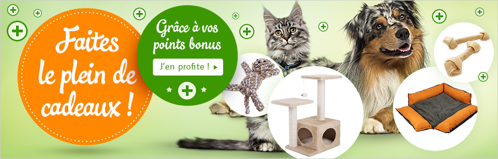Votre Fidelite Recompensee Grace Au Programme Bonus Zooplus