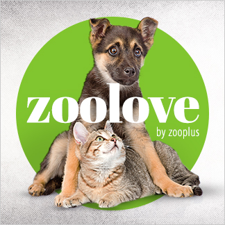 zoolove a zooplus -on: jót cselekedni - egész egyszerűen!