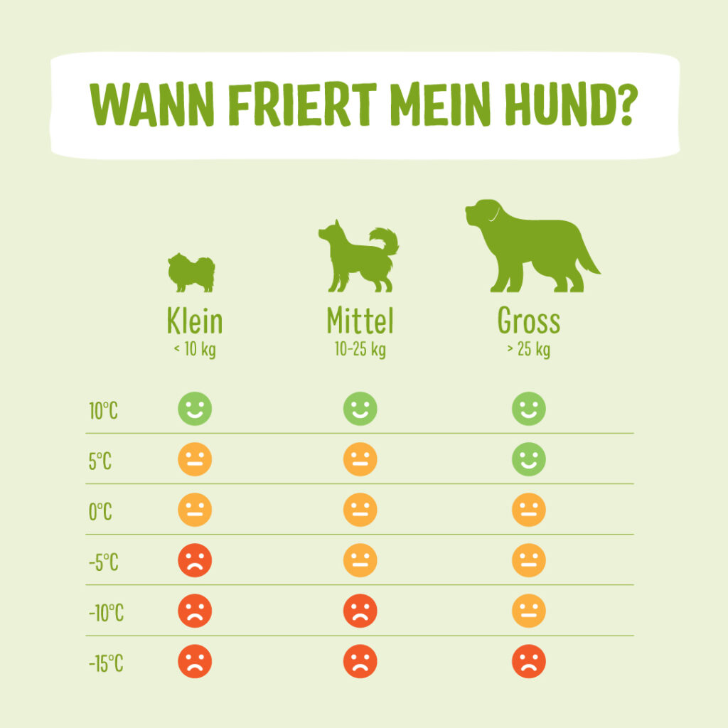 infografik mit tabelle wann frieren hunde
