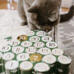 Katzen-Adventskalender