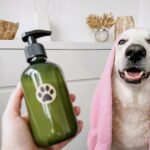 Hundeshampoo selber machen