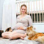 Schwangerschaft Baby Hund