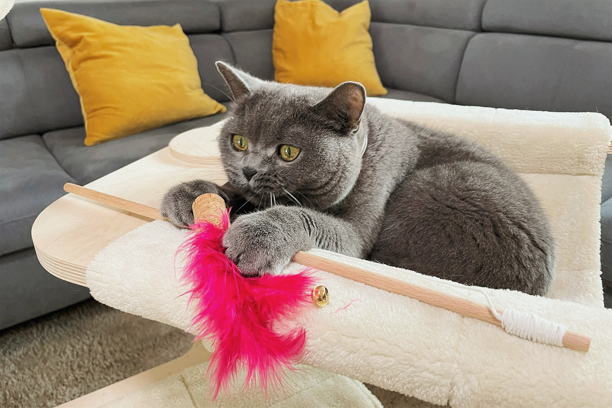 Katze mit DIY Katzenangel