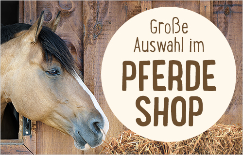 Reitstile Englisch vs. Westernreiten Welcher Reitstil passt zu mir?