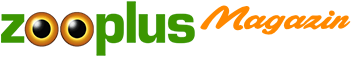 zooplus logo