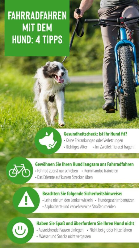 Hund Am Fahrrad Verboten Deutschland Mit dem Hund Fahrrad fahren: Was muss ich beachten?