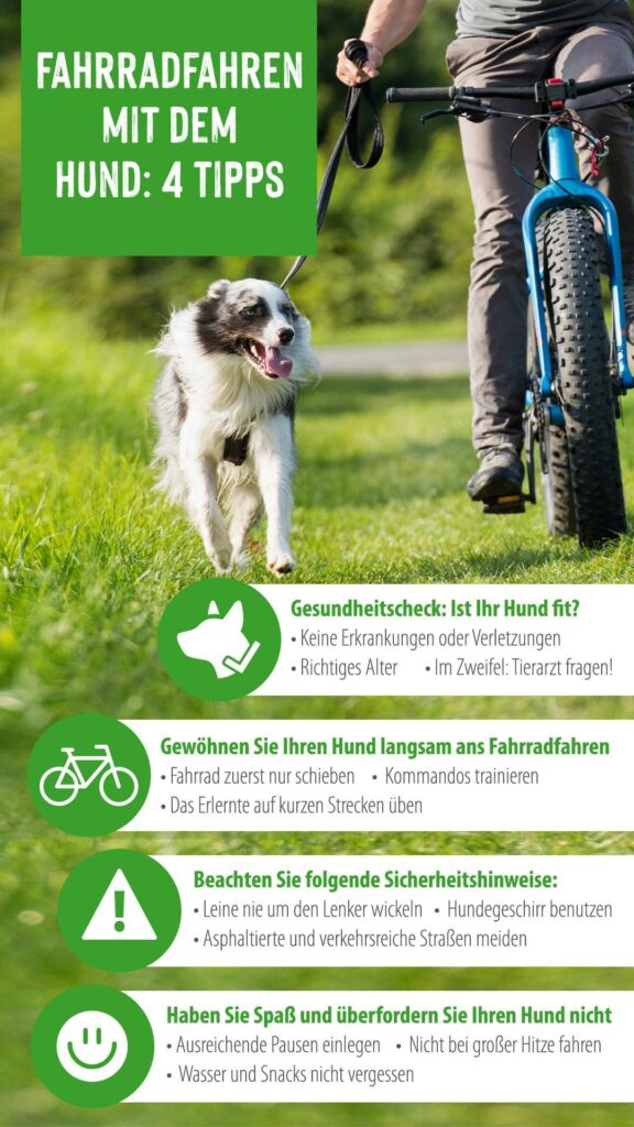 Ein Mann fährt mit seinem Hund Fahrrad. Hund neben Fahrrad Checkliste