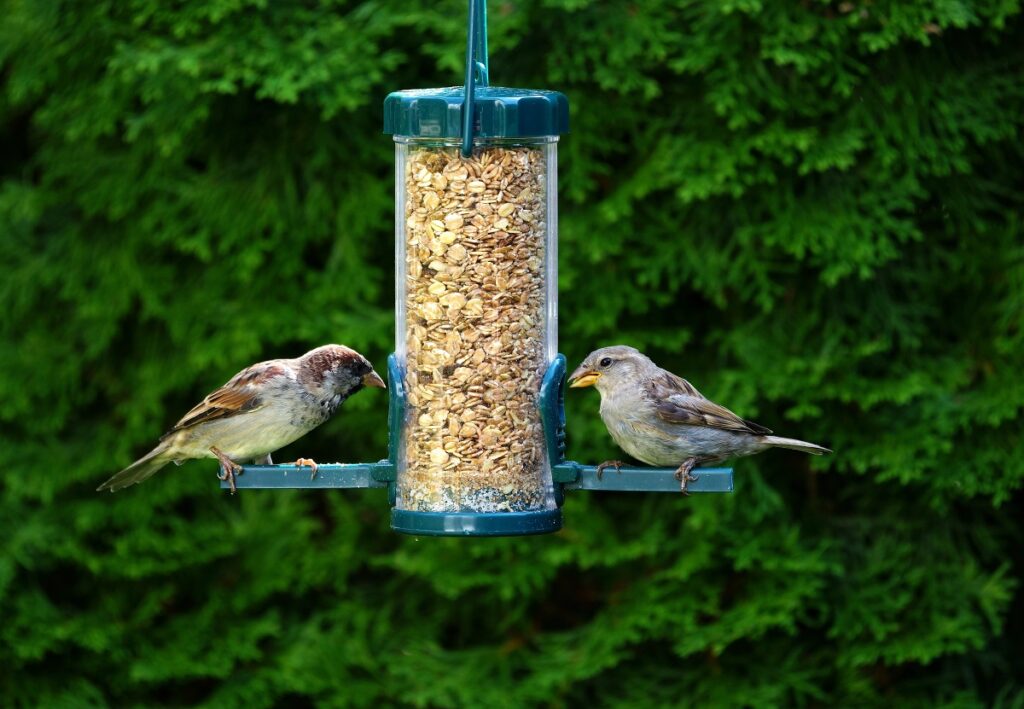 Futterspender für Wildvögel