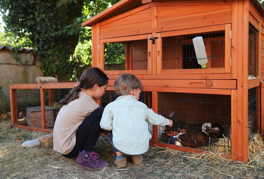 Kinder sitzen draußen vor einem Meerschweinchengehege