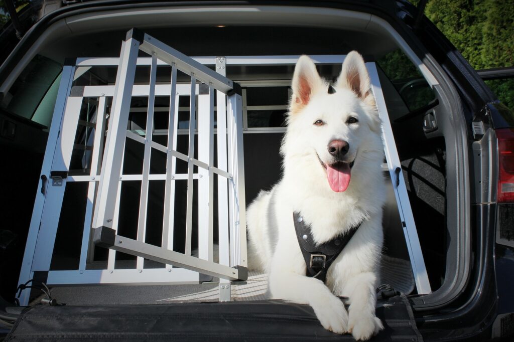 Hund in einer Hundebox im Auto Hund im Auto sichern mit Hundebox