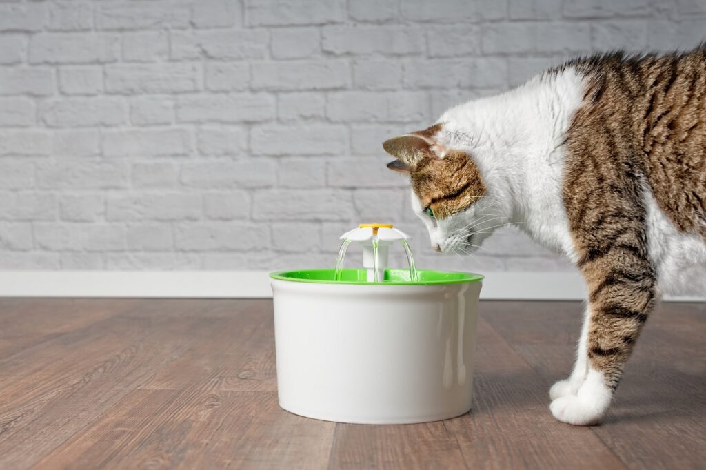 eine Katze trinkt aus einem Katzentrinkbrunnen Katze Trinkbrunnen