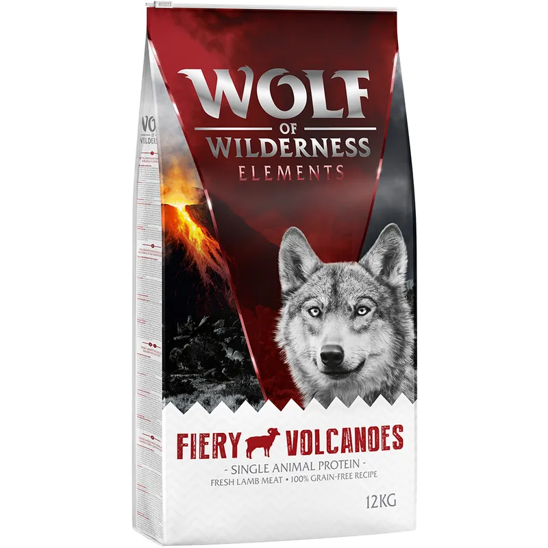 Wolf of Wilderness Fiery Volcanoes