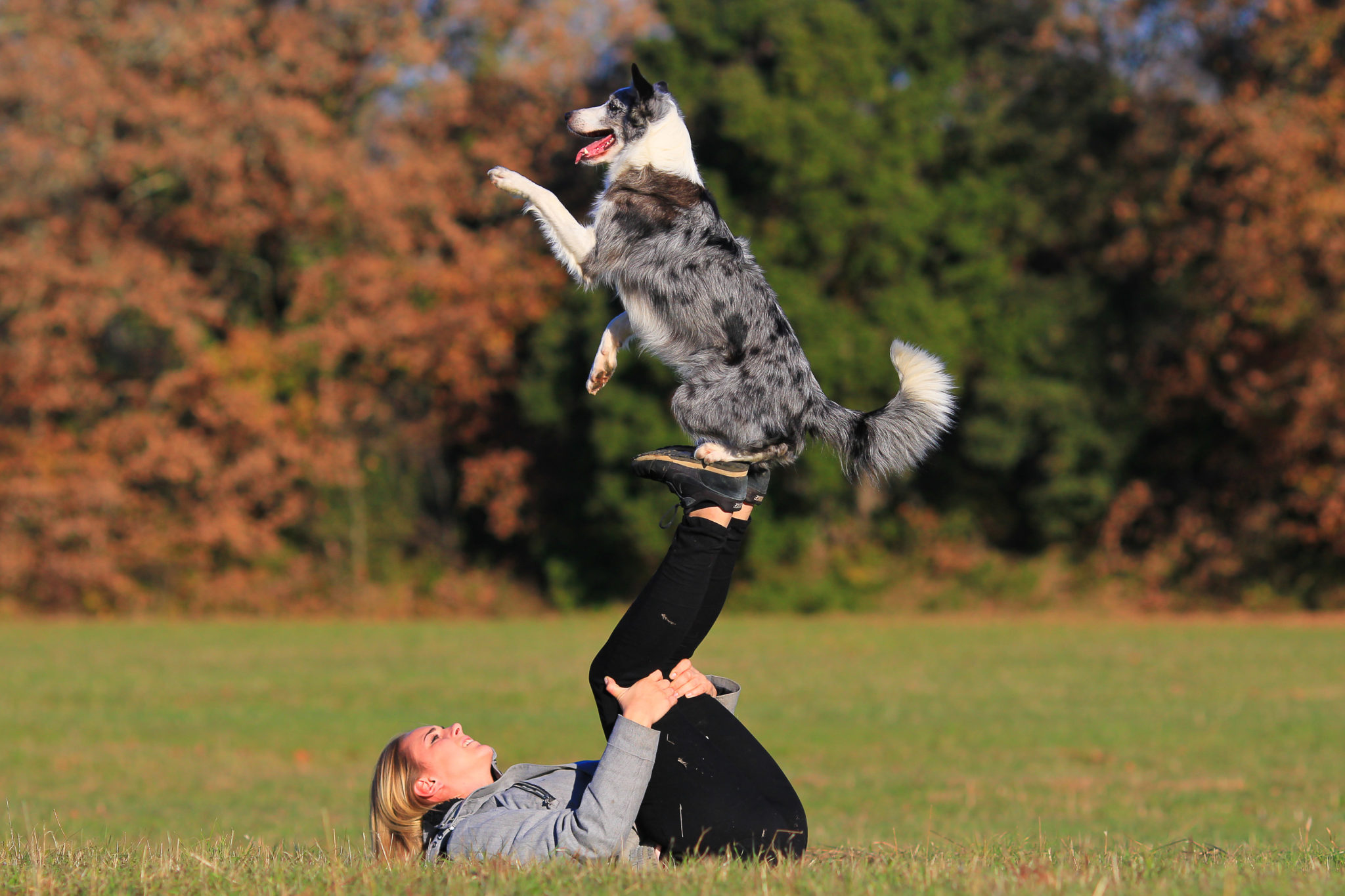Dogdance Der musikalische Hundesport zooplus Magazin