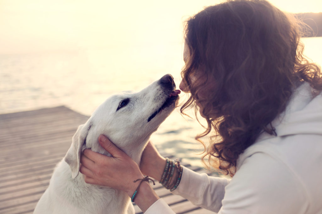 Hund küssen Hund küssen
