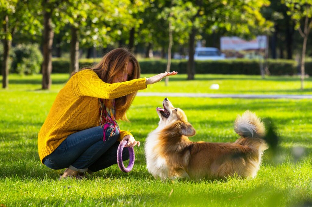 Lek rätt med hunden