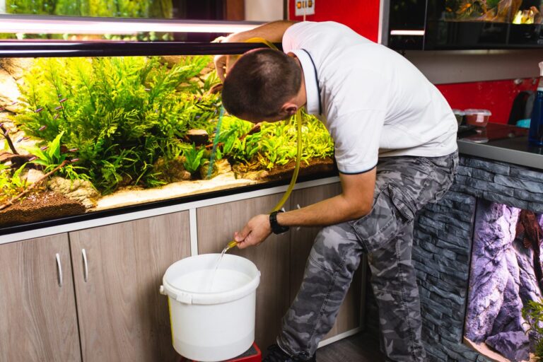 wasserwechsel im aquarium mit schlauch