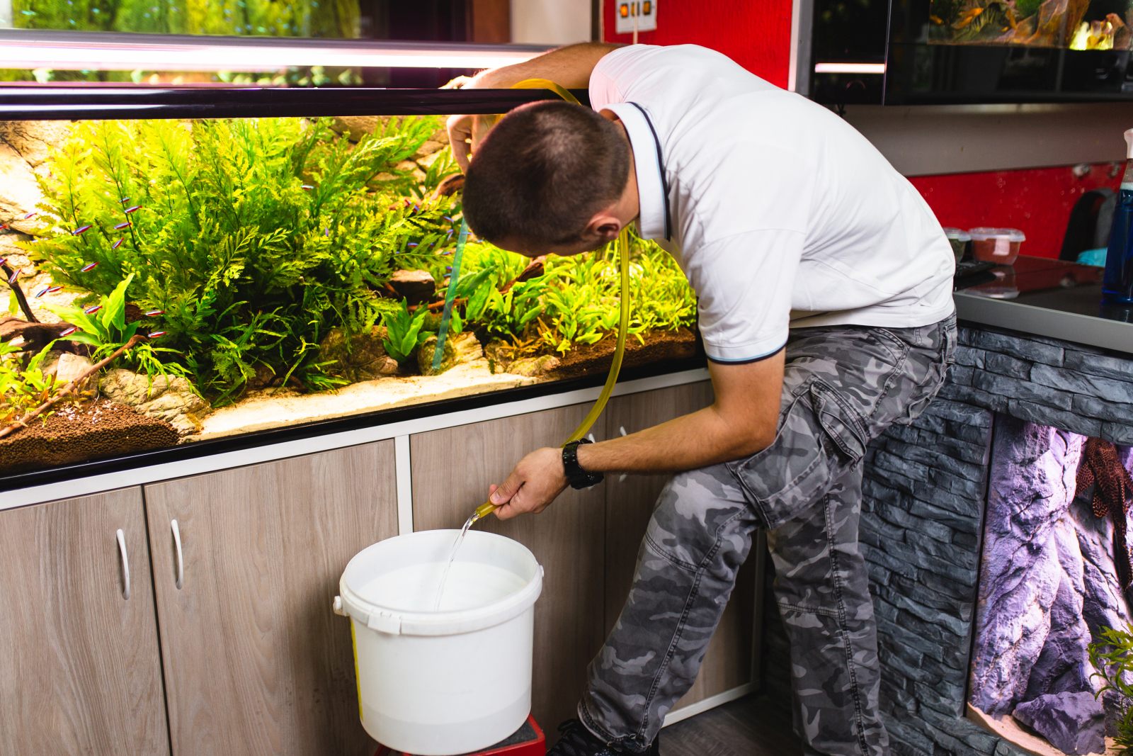 wasserwechsel-im-aquarium-was-ist-zu-beachten-zooplus