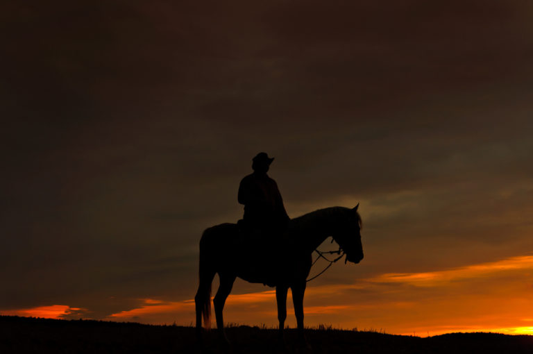 reiten im dunkeln