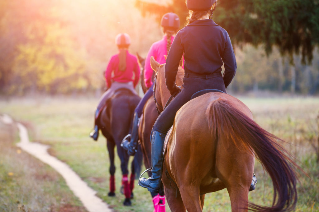 Reiten für Erwachsene