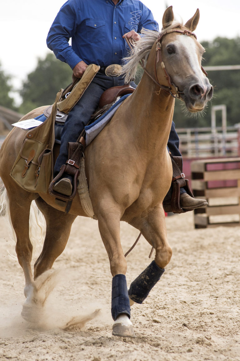 Reitstile Englisch vs. Westernreiten Welcher Reitstil passt zu mir?