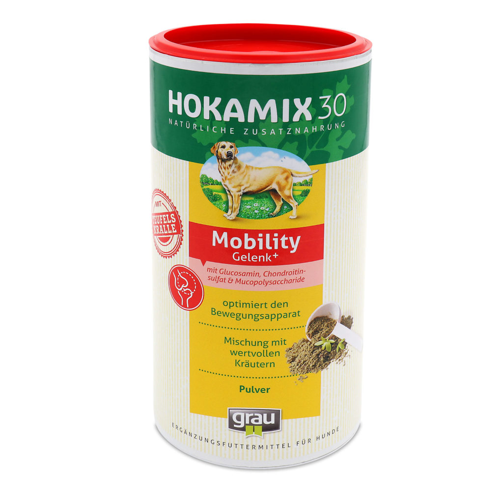 Arthrose Hund Futter