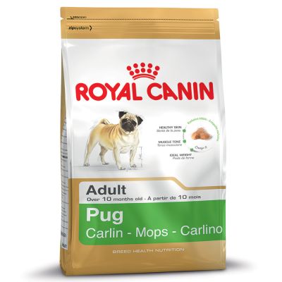 Royal Canin Pug Adult