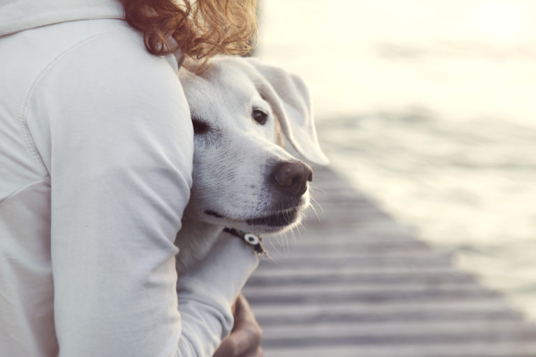 Frau ängstlicher hund