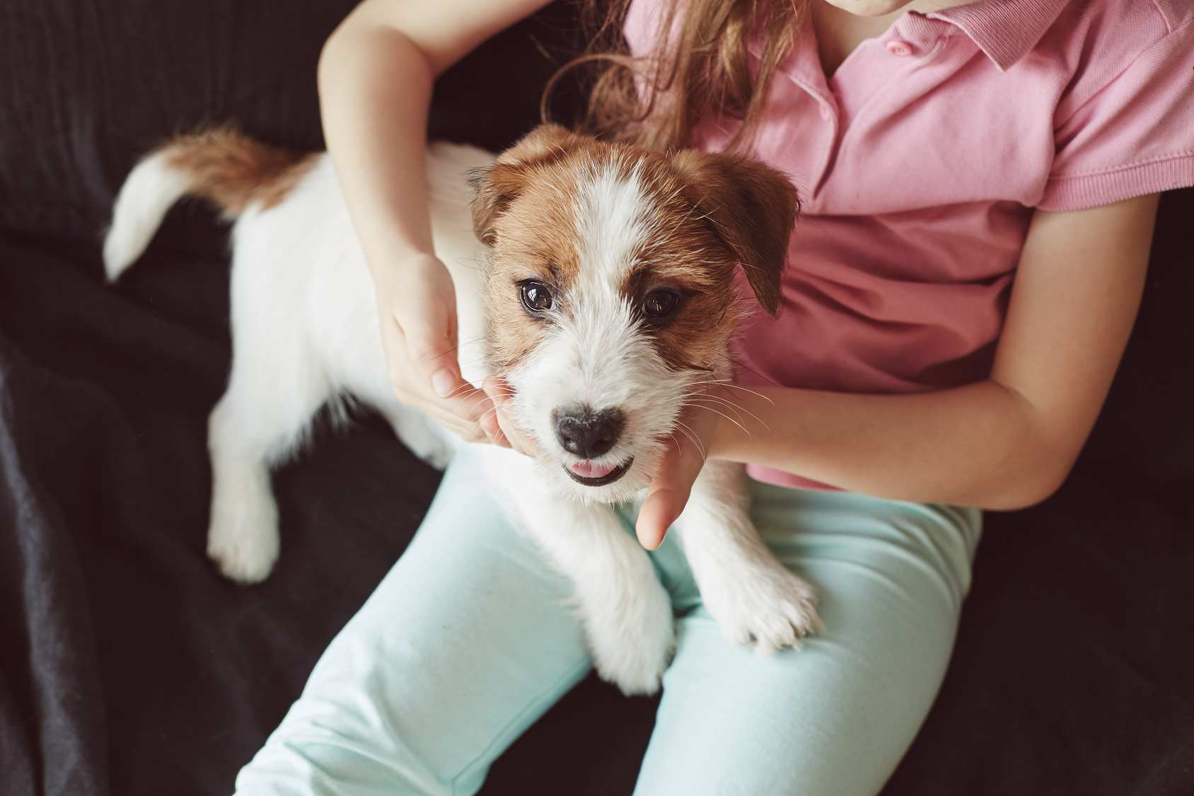 Welpenerziehung Grundlagen, Regeln & Tipps Hundemagazin