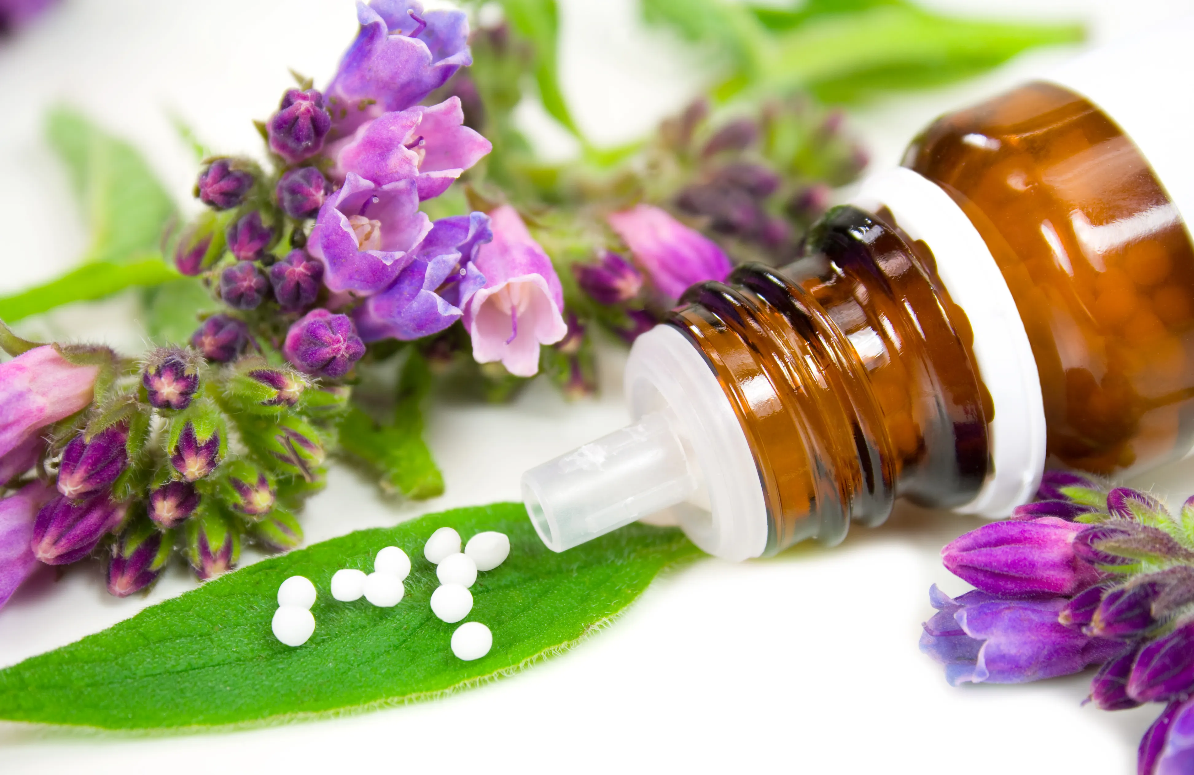 Homopathie fr Hunde: Tierrztin erklrt Mittel & Anwendung