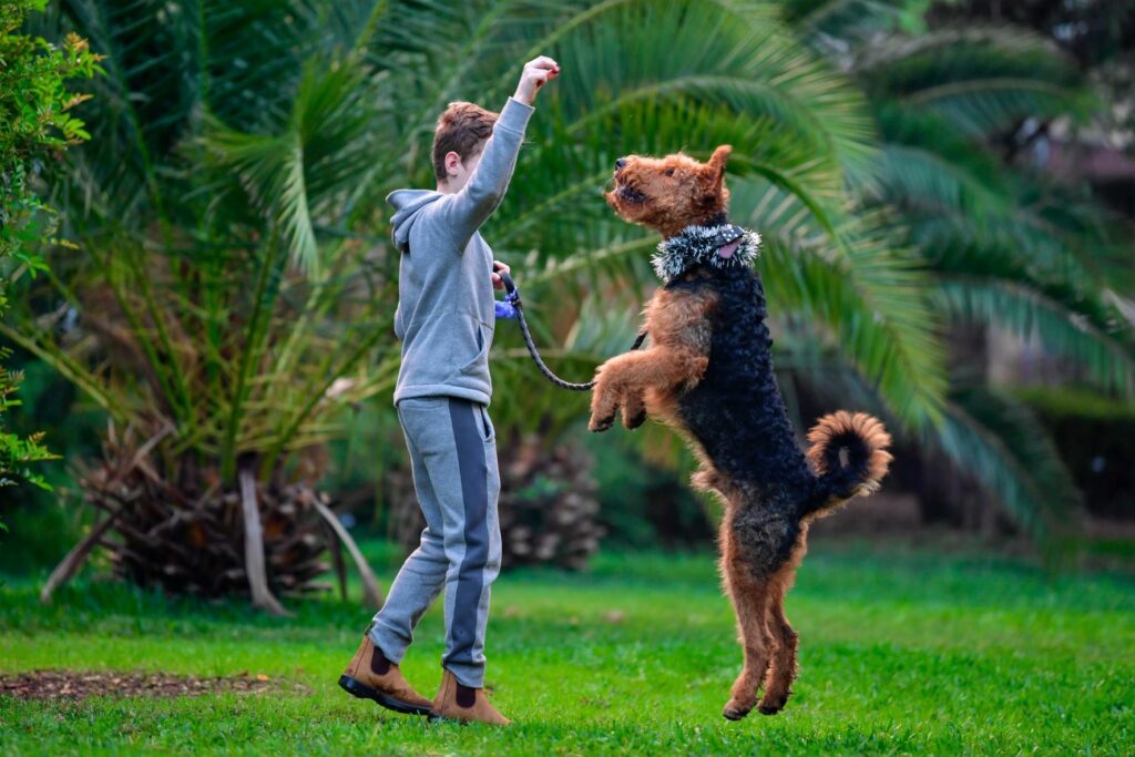 airedale terrier mit kind