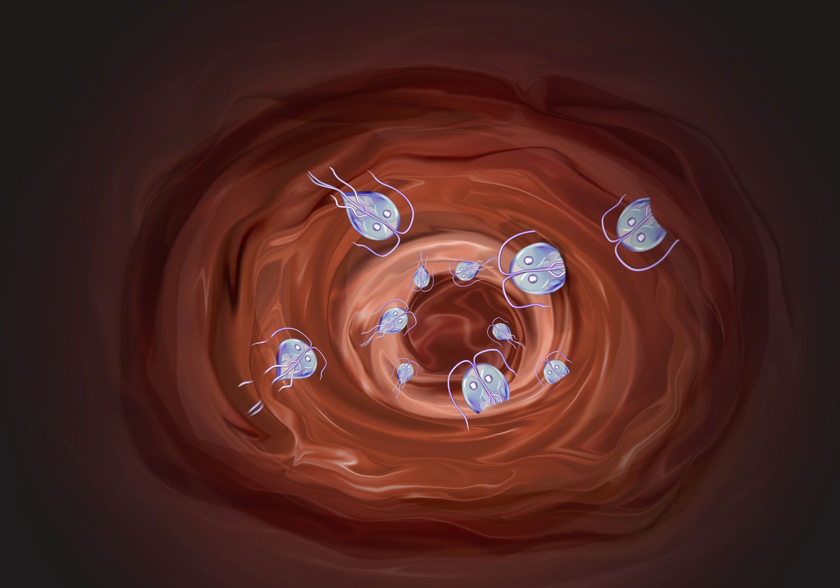 Giardien beim Hund Symptome, Ursachen &amp; Behandlung zooplus