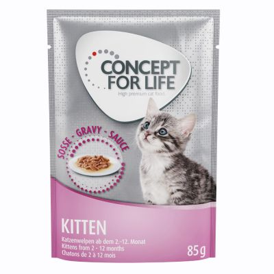 Kitten Entwurmen So Erfolgt Die Fachgerechte Entwurmung Bei Kitten