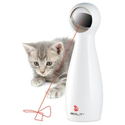 Katze jagt einen Laserpointer