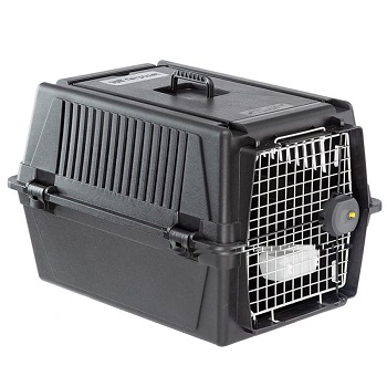 Transportbox