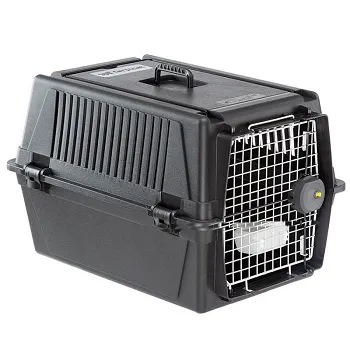 Transportbox