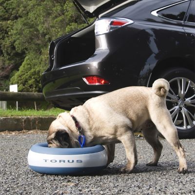 hundetrinkbrunne hundetrinkbrunne