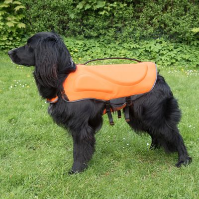 hundeschwimmweste aus neopren hundeschwimmweste aus neopren