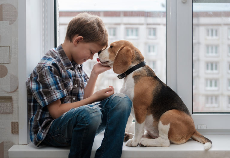 Liebt mein Hund mich? 10 Zeichen, die es beweisen zooplus Magazin