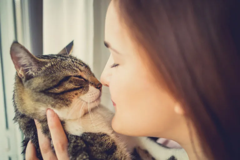 Katzen fördern die Gesundheit.