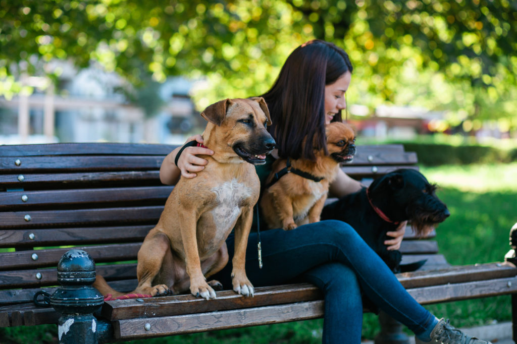 Urlaub ohne Hund Hundesitter oder Hundepension? zooplus