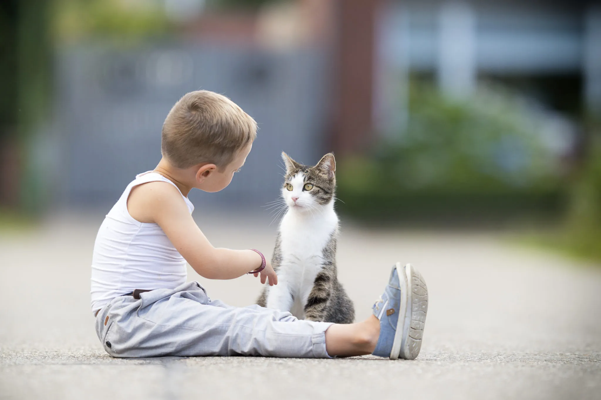 Kind und Katze