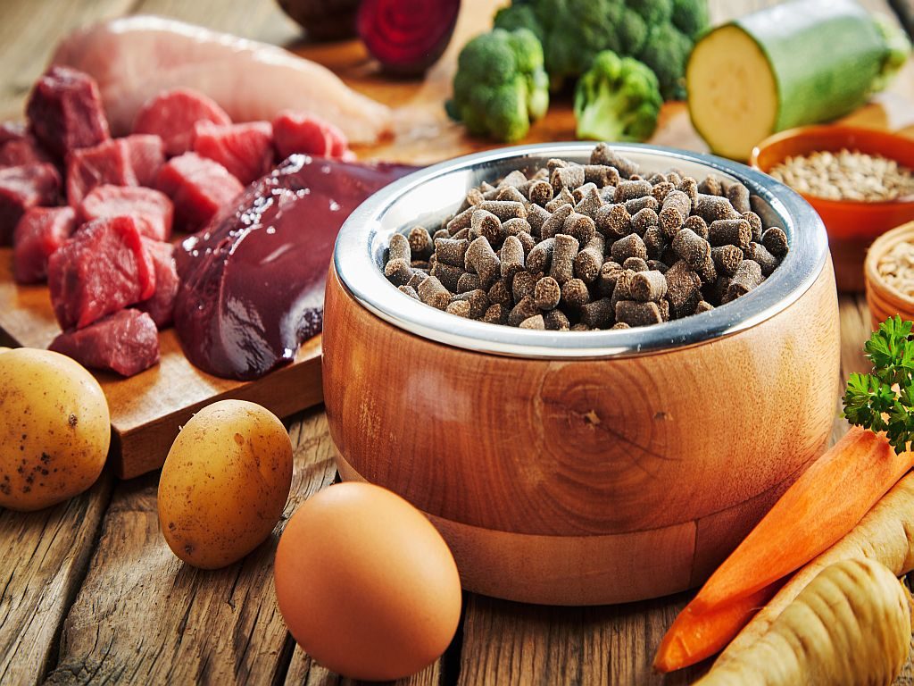 superfood für hunde